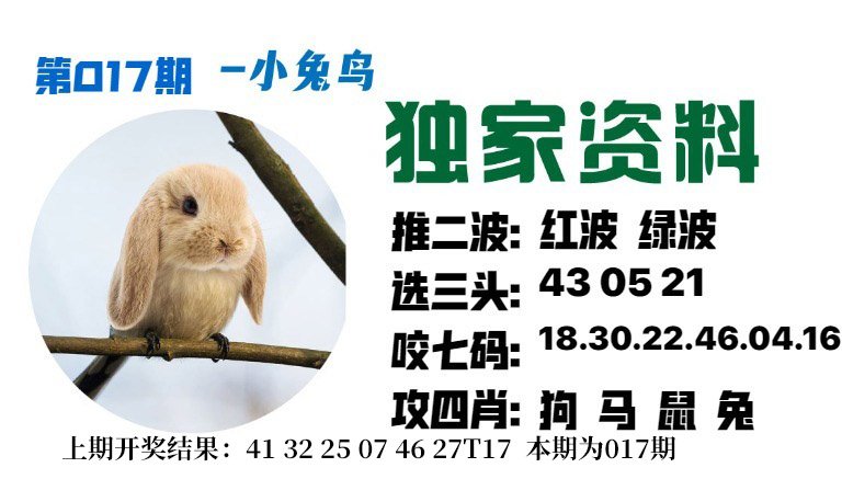 017期小兔鸟[图]