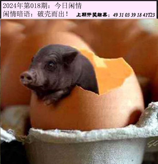 018期今日闲情[图]