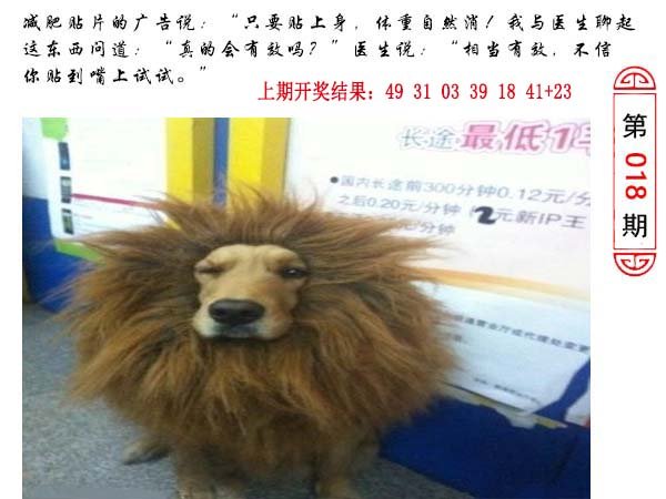 018期澳门生活幽默[图]