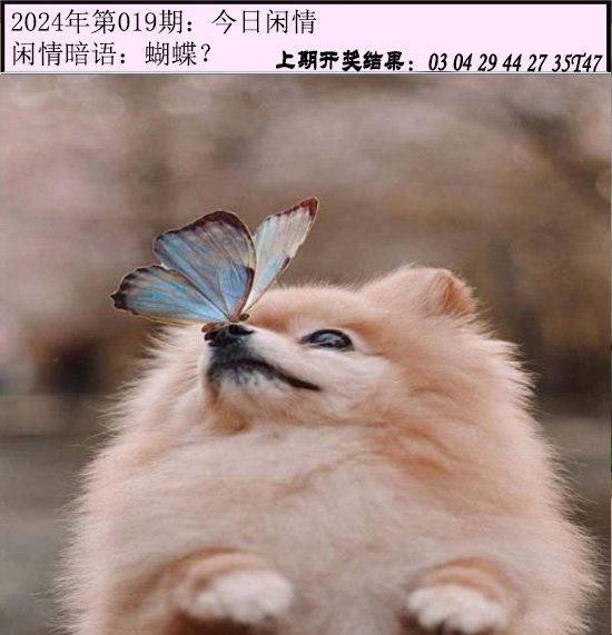 019期今日闲情[图]