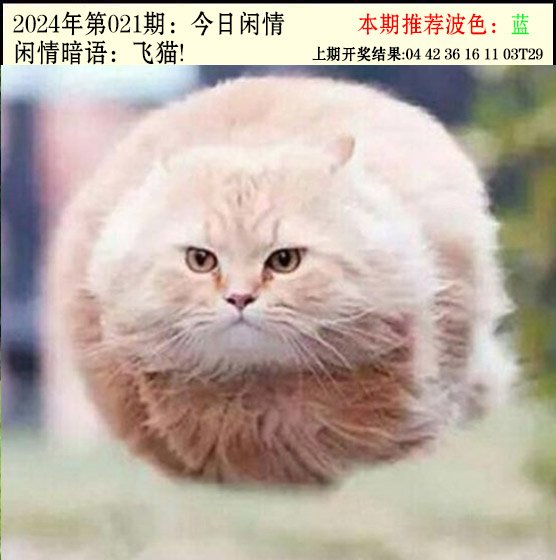 021期今日闲情2[图]