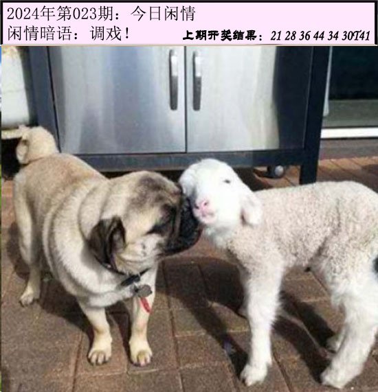 023期今日闲情[图]