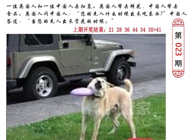 023期澳门生活幽默[图]