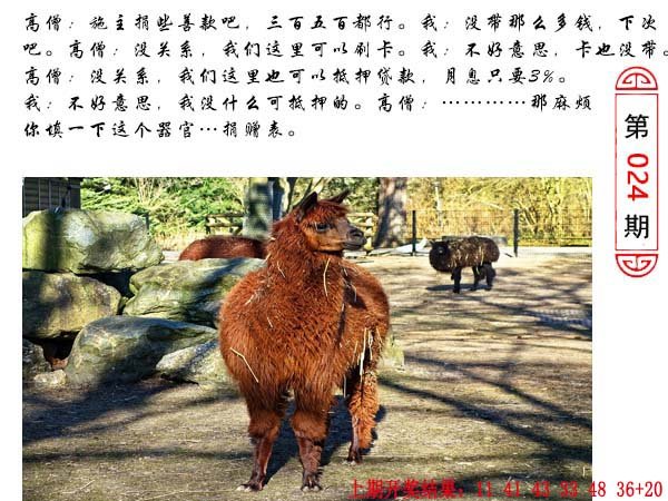 024期澳门生活幽默[图]