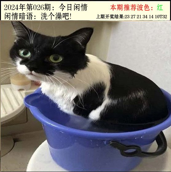 026期今日闲情2[图]