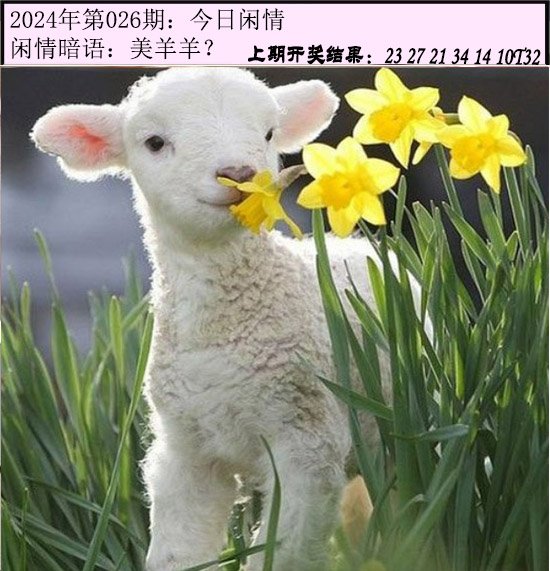 026期今日闲情[图]