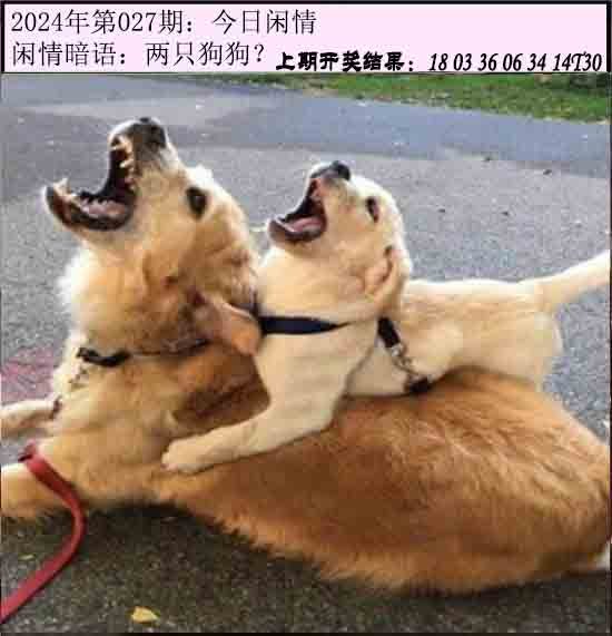 027期今日闲情[图]