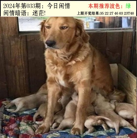 033期今日闲情2[图]