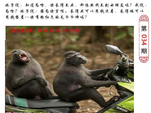 034期澳门生活幽默[图]