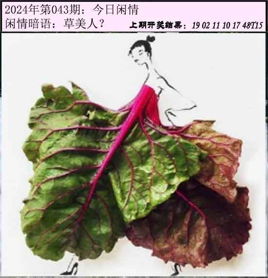 043期今日闲情[图]