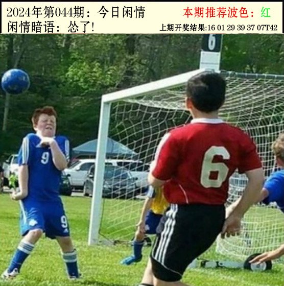 044期今日闲情2[图]