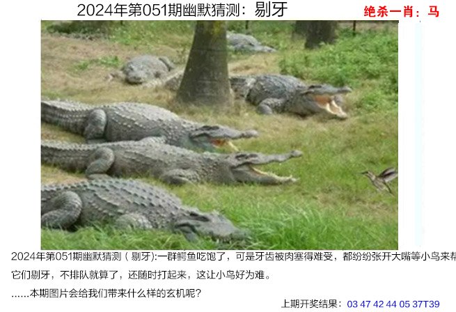 051期幽默猜测[图]