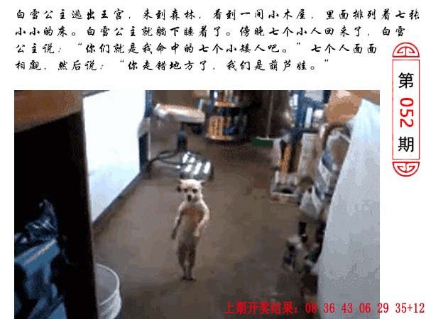 052期澳门生活幽默[图]