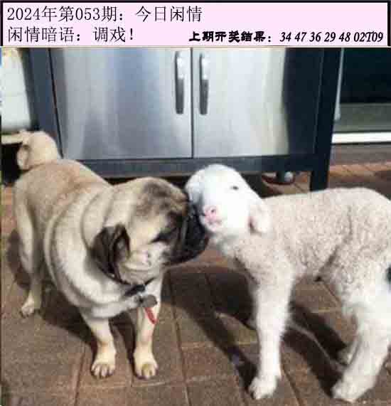 053期今日闲情[图]