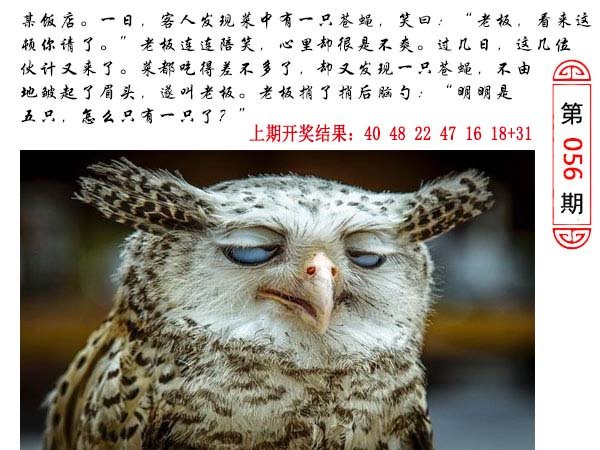 056期澳门生活幽默[图]