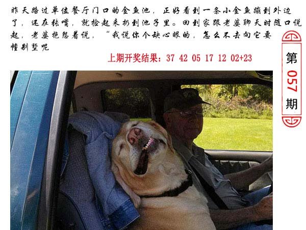 057期澳门生活幽默[图]