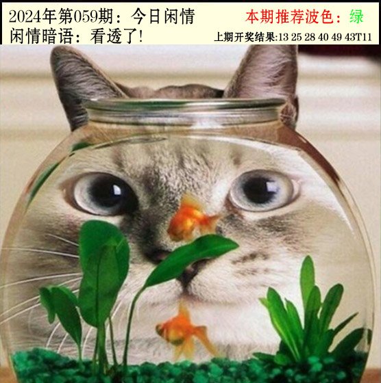 059期今日闲情2[图]