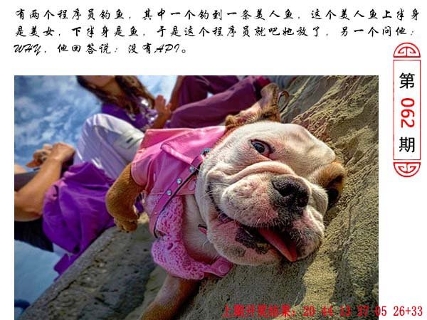 062期澳门生活幽默[图]