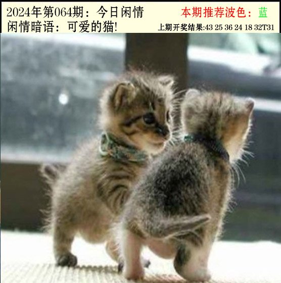 064期今日闲情2[图]