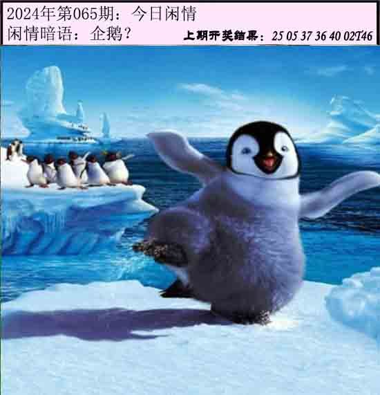 065期今日闲情[图]