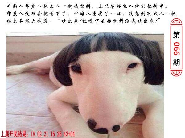 066期澳门生活幽默[图]