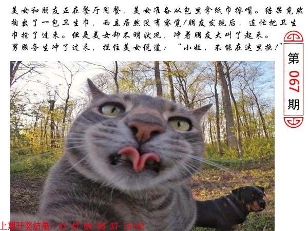 067期澳门生活幽默[图]