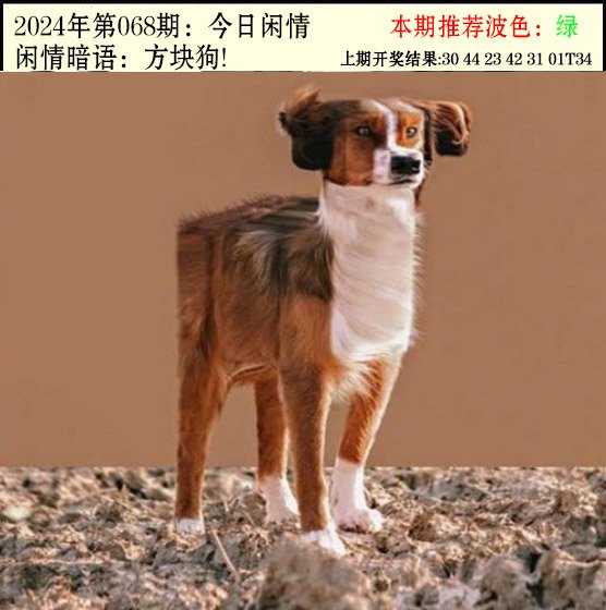 068期今日闲情2[图]