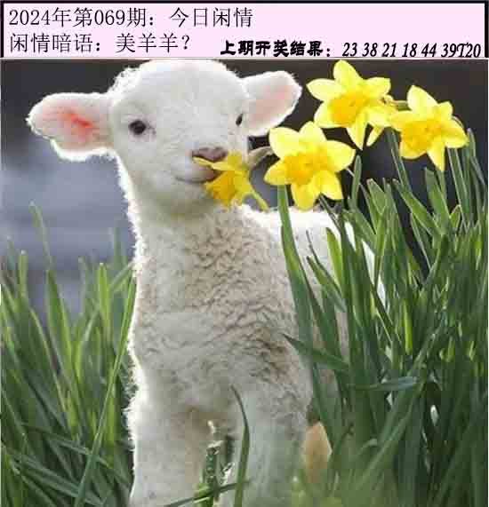 069期今日闲情[图]