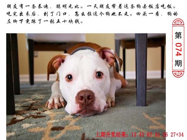 074期澳门生活幽默[图]