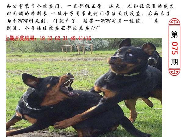 075期澳门生活幽默[图]