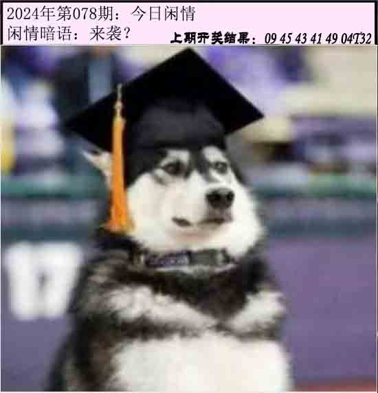 078期今日闲情[图]