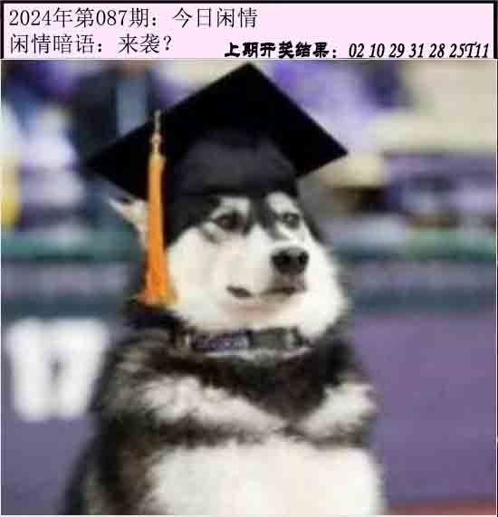 087期今日闲情[图]