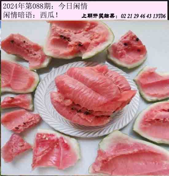 088期今日闲情[图]