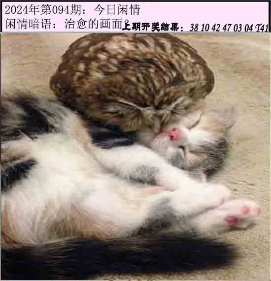 094期今日闲情[图]