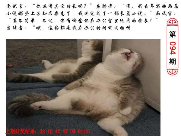 094期澳门生活幽默[图]