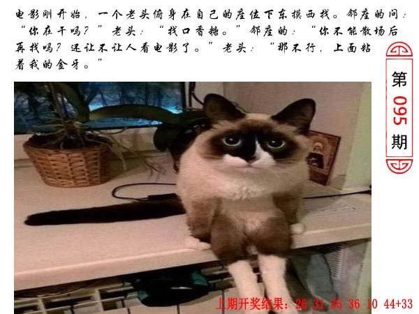 095期澳门生活幽默[图]