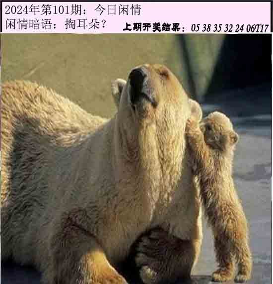 101期今日闲情[图]