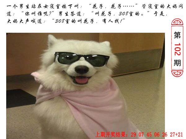 102期澳门生活幽默[图]