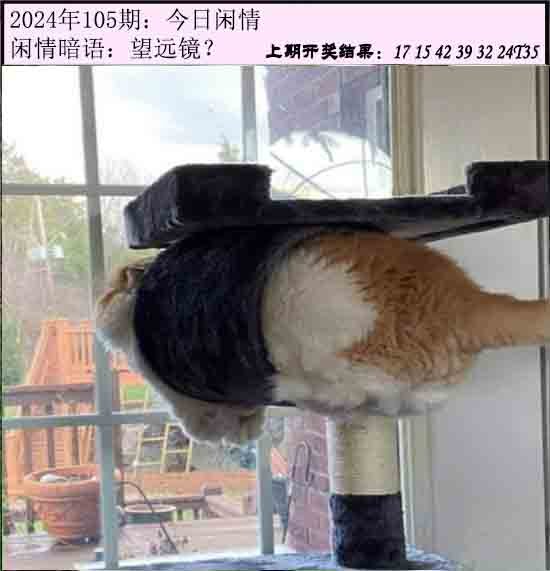 105期今日闲情[图]