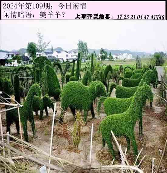 109期今日闲情[图]