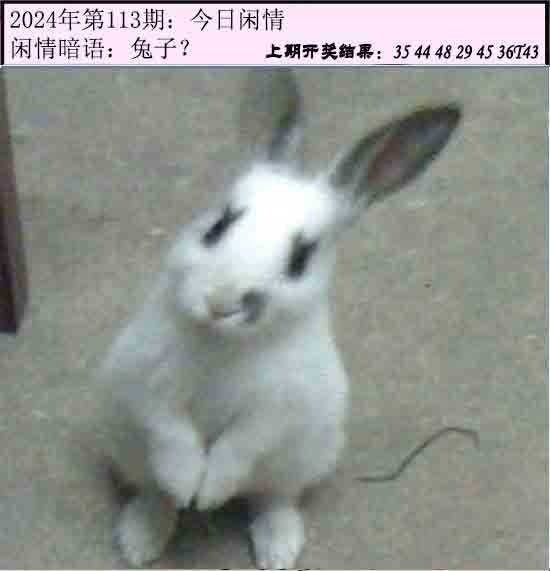 113期今日闲情[图]