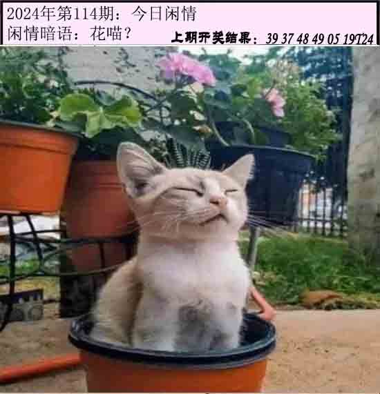114期今日闲情[图]