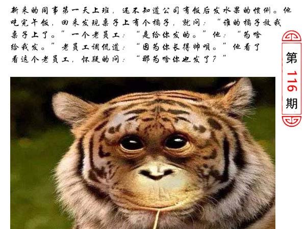 116期澳门生活幽默[图]