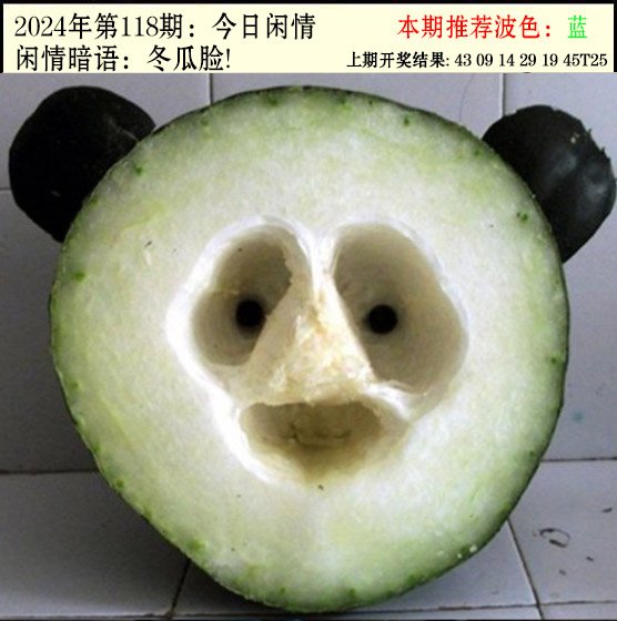 118期今日闲情2[图]