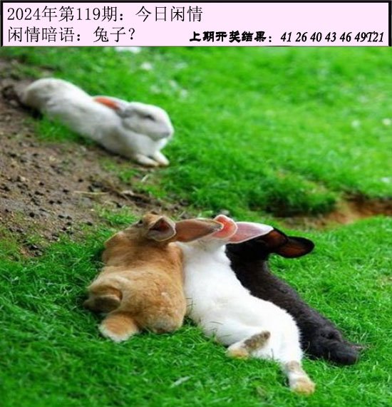 119期今日闲情[图]