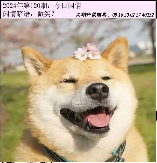 120期今日闲情[图]