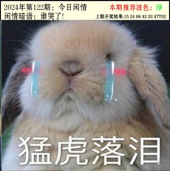 122期今日闲情2[图]