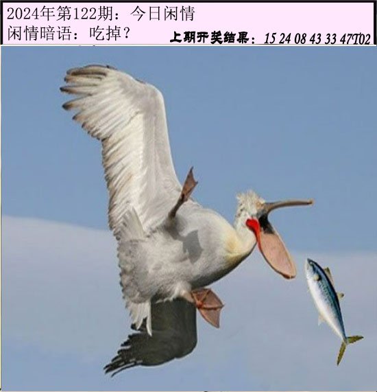 122期今日闲情[图]