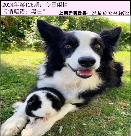 125期今日闲情[图]