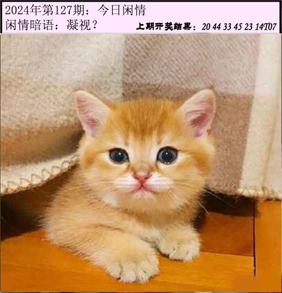 127期今日闲情[图]